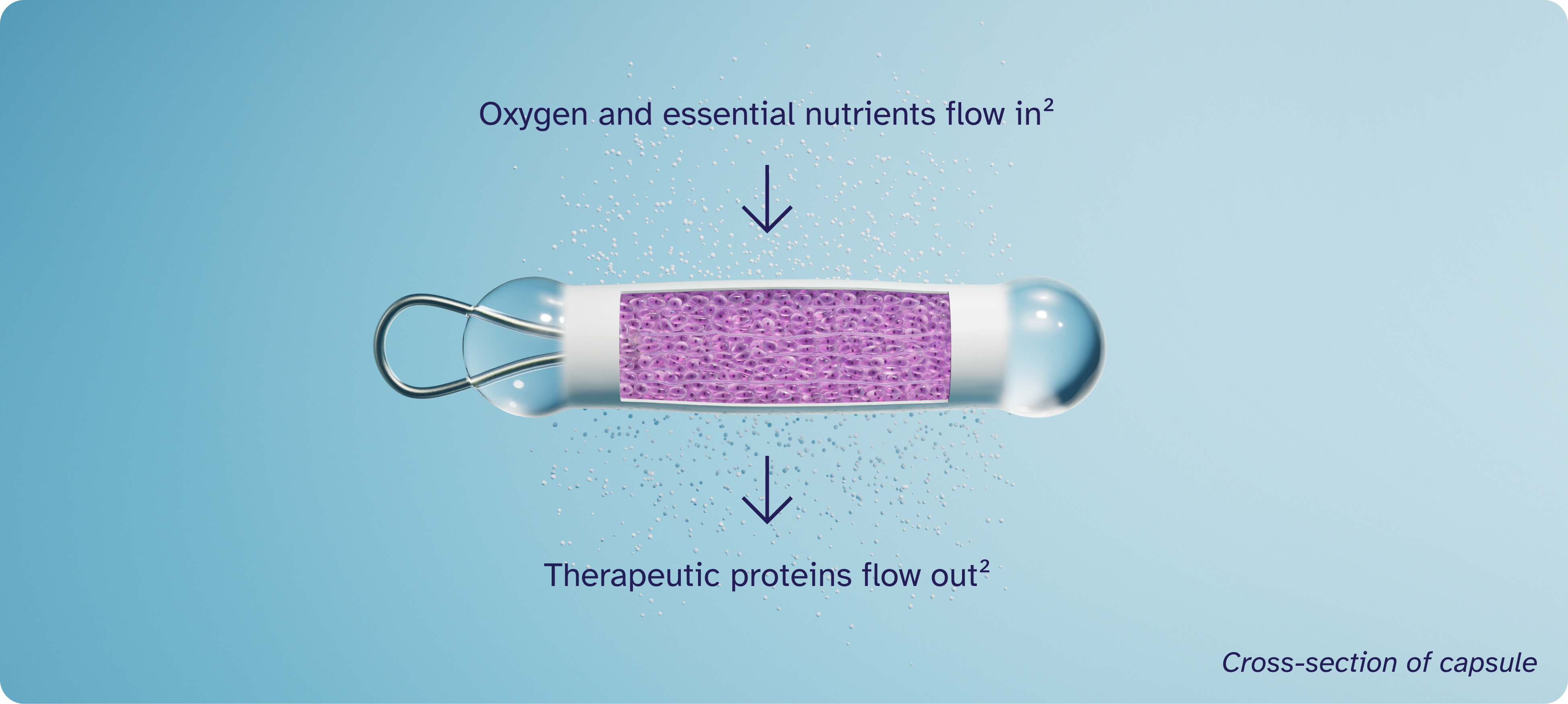 ENCELTO capsule GIF