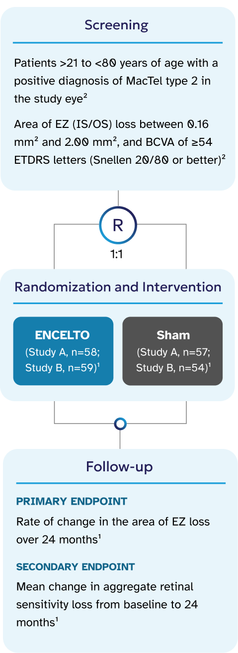 ENCELTO study design schematic